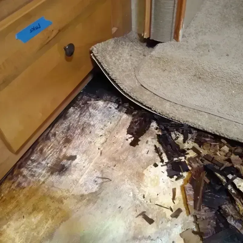 Wood Floor Water Damage in Maple Heights-Lake Desire, WA